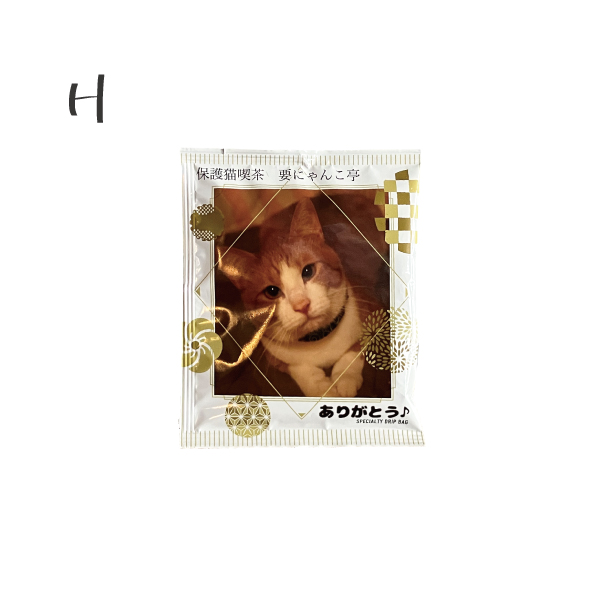 保護猫カフェ,猫,ネコ,ねこ,cat,珈琲,コーヒー,猫カフェ,カフェ