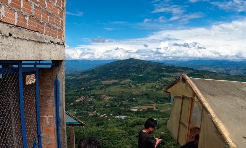 コーヒー,珈琲,数量限定,コロンビア,NewCrop,チャポレラ,アヒ,ブルボン,ライチ,ピーチ,ハイビスカス,インフューズド,100g