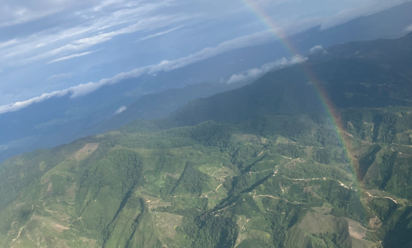 数量限定,アロマティック,コロンビア,レッドブルボン,レッドベリー,インフューズド,100gイースト,モスト,ダブルファーメンテーション